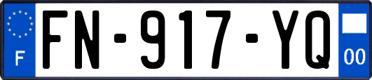FN-917-YQ