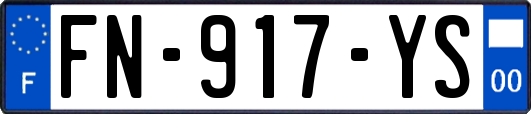 FN-917-YS