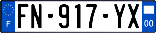FN-917-YX