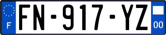 FN-917-YZ