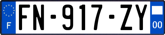 FN-917-ZY