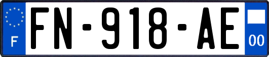 FN-918-AE