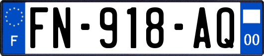 FN-918-AQ