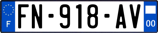 FN-918-AV