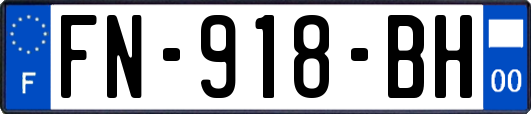 FN-918-BH