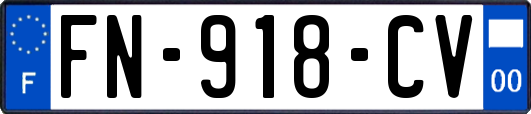 FN-918-CV