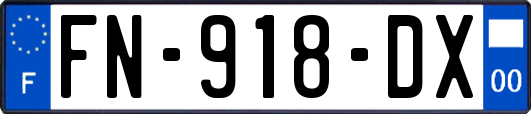 FN-918-DX