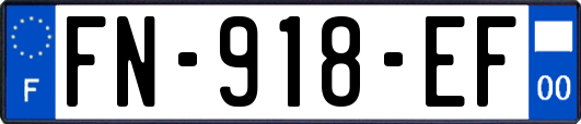 FN-918-EF