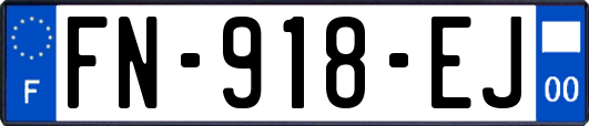 FN-918-EJ