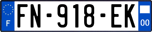 FN-918-EK