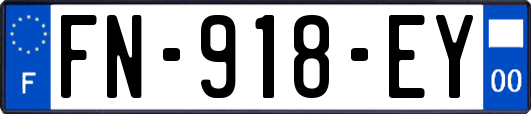 FN-918-EY