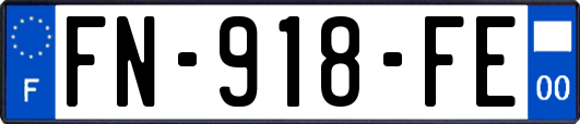 FN-918-FE