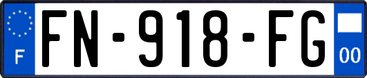 FN-918-FG