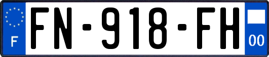 FN-918-FH