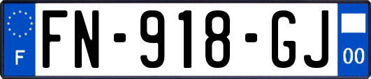 FN-918-GJ