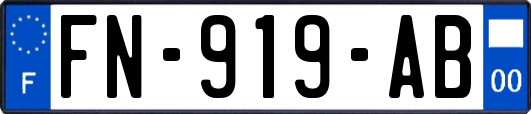 FN-919-AB