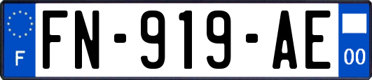 FN-919-AE