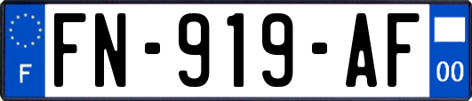 FN-919-AF