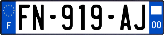 FN-919-AJ