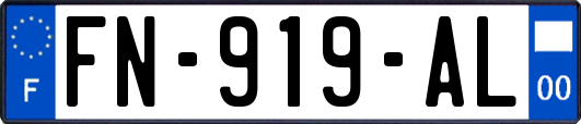 FN-919-AL