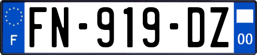 FN-919-DZ