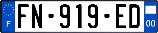 FN-919-ED