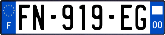 FN-919-EG