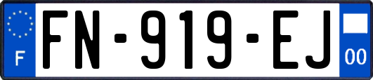 FN-919-EJ