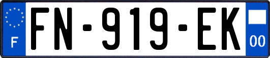 FN-919-EK