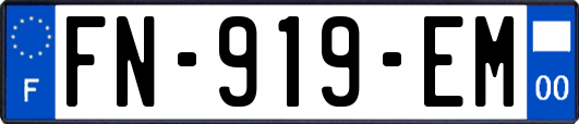 FN-919-EM