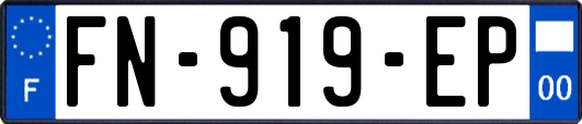 FN-919-EP