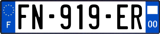 FN-919-ER