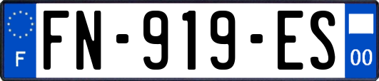 FN-919-ES
