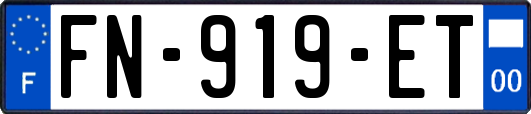 FN-919-ET