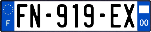 FN-919-EX