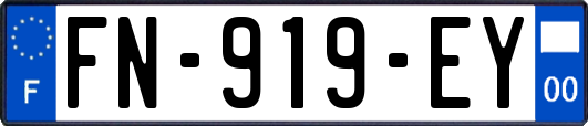 FN-919-EY