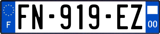 FN-919-EZ