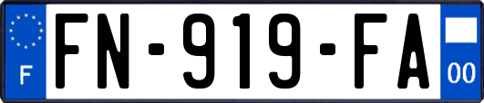 FN-919-FA