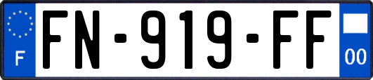 FN-919-FF