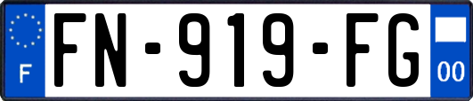FN-919-FG