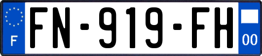 FN-919-FH