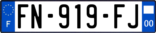 FN-919-FJ