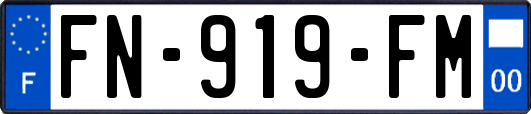 FN-919-FM