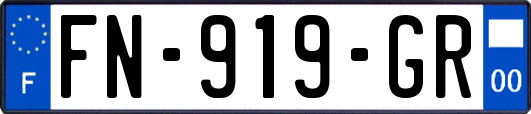 FN-919-GR