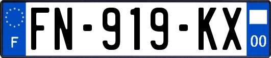 FN-919-KX