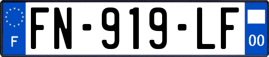 FN-919-LF