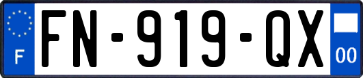 FN-919-QX