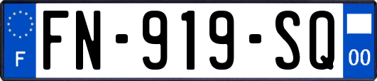 FN-919-SQ