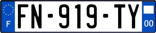 FN-919-TY