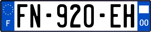FN-920-EH